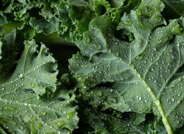 kale salad leaves close up with water drops background