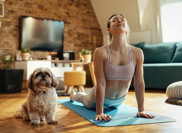 Young athletic woman in cobra pose practicing Yoga with her dog at home.