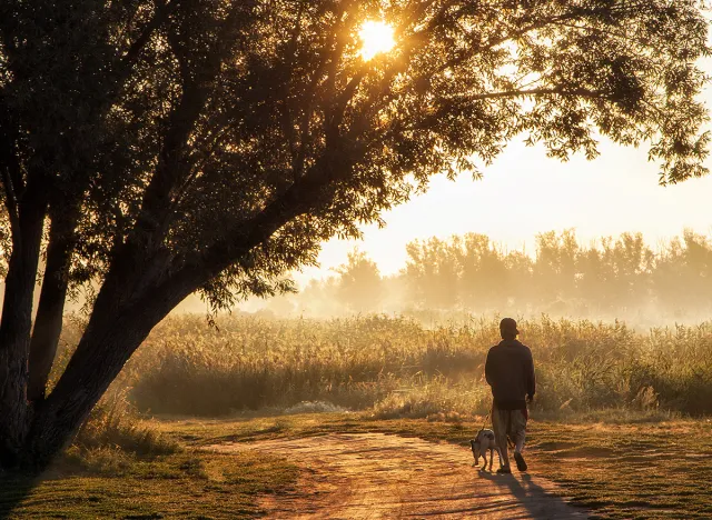the man walking the dog early in the morning by the river