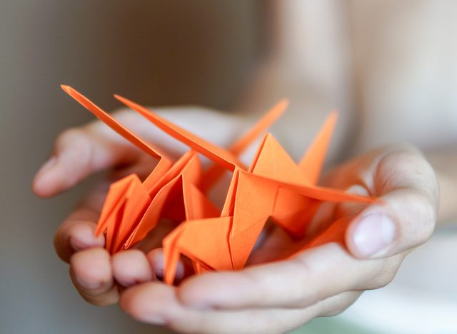 Origami birds in boy hands