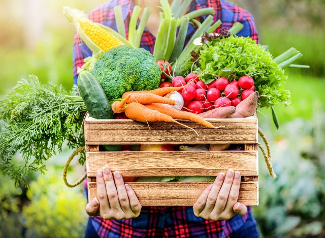 Farmer woman holding wooden box full of fresh raw vegetables. Basket with vegetable (cabbage, carrots, cucumbers, radish, corn, garlic and peppers) in the hands.