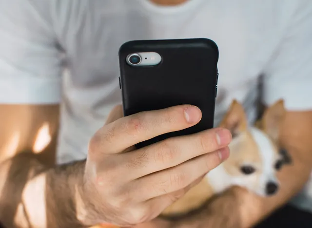 young man using his cell phone while his chihuahua dog rests on his lap