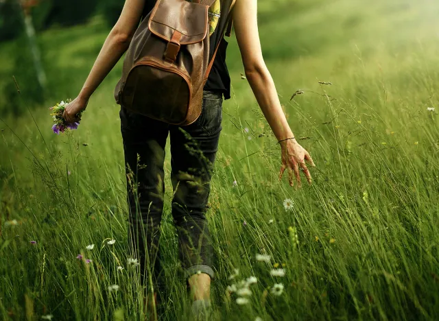 earth day. woman traveler walking among grass in meadow and holding in hand gathering wildflowers in mountains in sunlight, back view, space for text