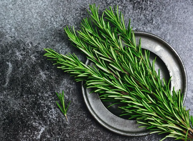 Fresh rosemary herb on the dark background. Top view rosemary