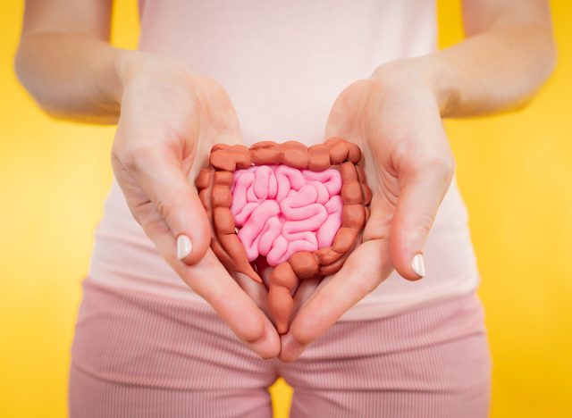 Model of gastrointestinal tract. Concept of health of human digestive system. Women's hands with model of intestine. Care for health of human stomach. Girl with intestines on yellow background.