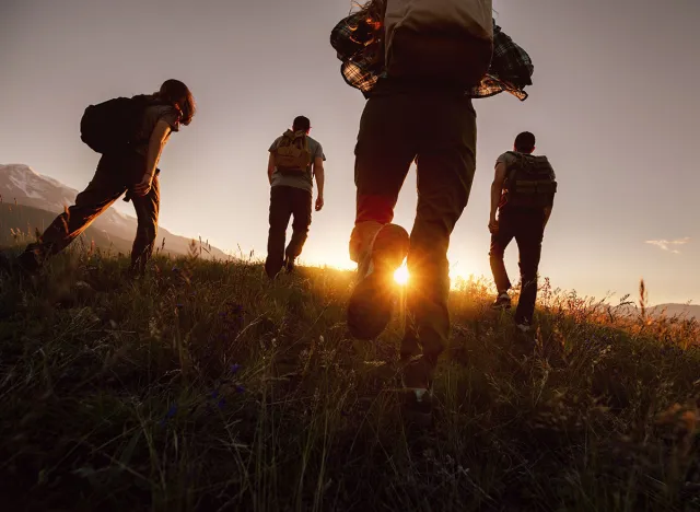 Silhouettes of four young hikers with backpacks are walking in mountains at sunset time