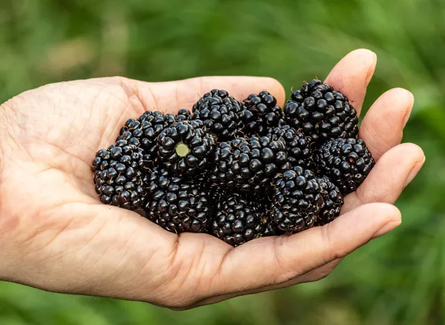 Ripened blackberry in the palm