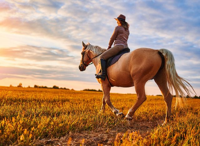 Horseback riding across the meadow during sunset time