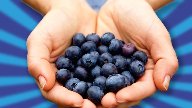 Close up portrait of handful of fresh blueberries