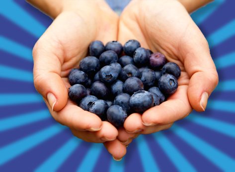 Close up portrait of handful of fresh blueberries