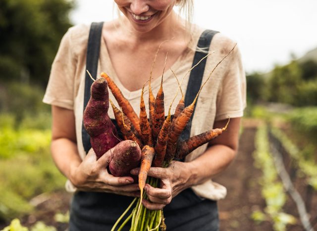 Happy female farmer holding freshly picked carrots and sweet potatoes on her farm. Self-sufficient young woman smiling cheerfully after harvesting fresh vegetables from her organic garden.