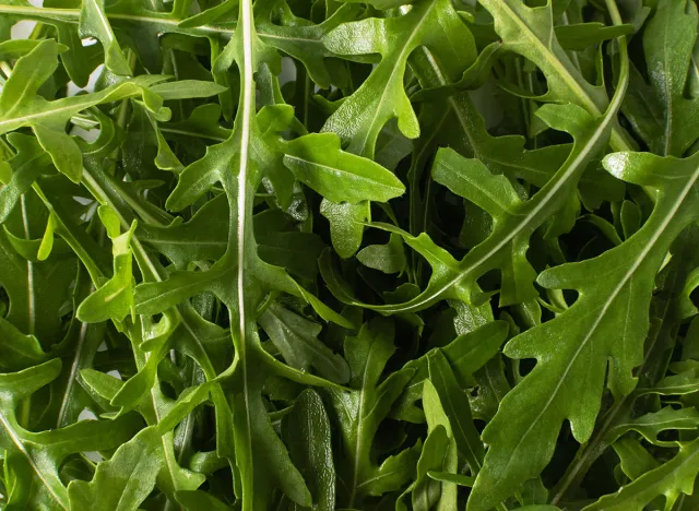 Arugula on a white background. Raw and fresh arugula, green leaves, from above.