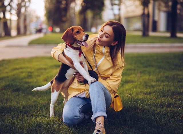 Lovely woman embracing tenderly spotty dog sitting on juicy grass in park in bright day