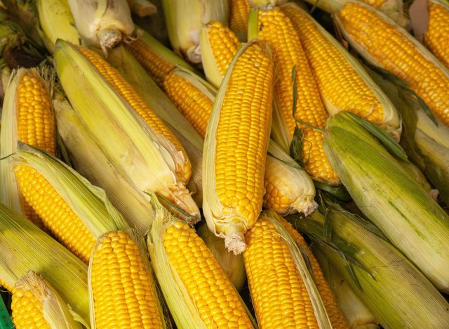 sweetcorn cobs close up, food natural background. harvest and market. corns