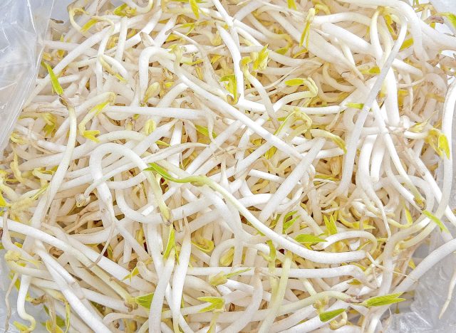 pile of sprouts. sprouts on a white background. sprouts in plastic