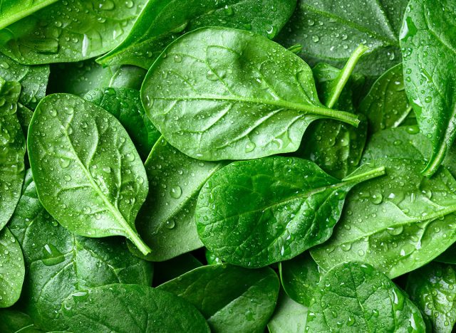 Background from fresh green spinach leaves with water drops. Texture of raw organic baby spinach close up. Food background