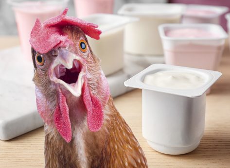 Plastic cup with tasty yogurt on table