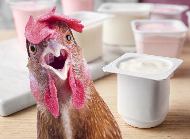 Plastic cup with tasty yogurt on table