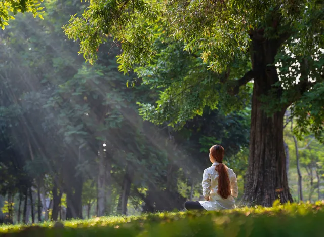 Back of woman relaxingly practicing meditation yoga in the forest to attain happiness from inner peace wisdom serenity with beam of sun light for healthy mind wellbeing and wellness soul concept