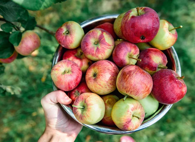 Young woman holding bowl full of apples in fruit orchard. Apple harvesting. Top view.