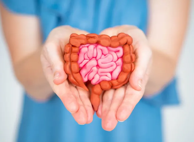 gut,tummy,health,Woman,Holds,Intestines,In,Her,Palms.,Gastrointestinal,Tract.,Intestinal,Tract