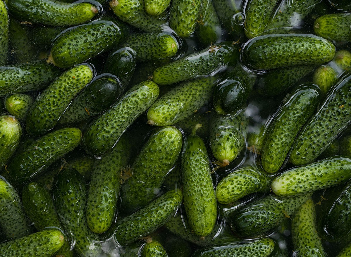 a lot of fresh beaten cucumbers in water. washing cucumbers. pickling cucumbers, pickles
