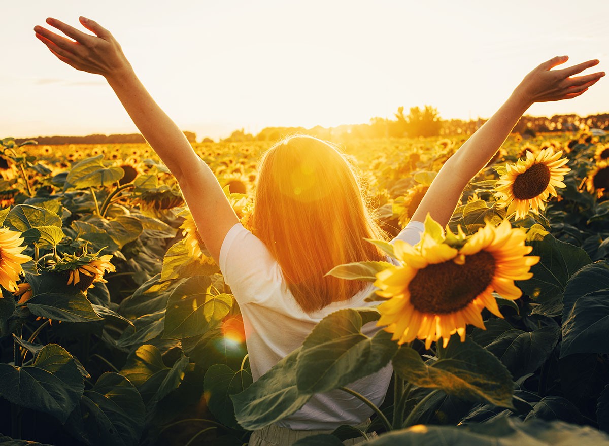 Sunny,Beautiful,Picture,Of,Young,Cheerful,Girl,Holding,Hands,Up, happy, celebrate , morning, sun, sunshine, sunflower, sunset, sunrise