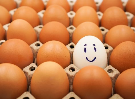 Eat This for Breakfast to Burn More Fat, Says Nutrition Expert