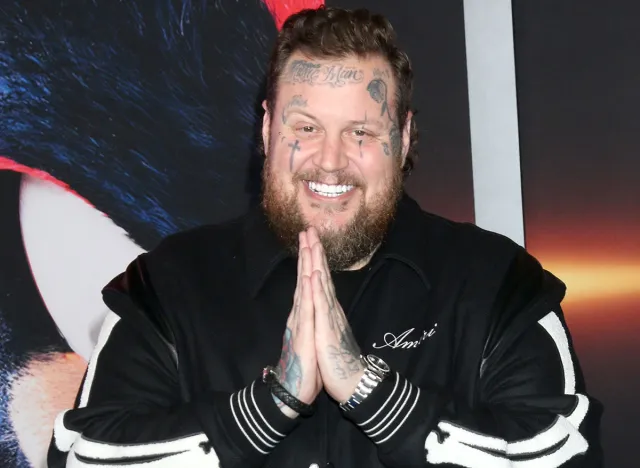 LOS ANGELES - DEC 16: Jelly Roll at the Sonic the Hedgehog 3 LA Premiere at TCL Chinese Theater IMAX on December 16, 2024 in Los Angeles, CA