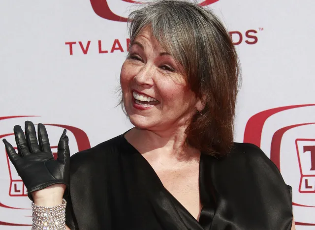 SANTA MONICA - JUNE 8: Roseanne Barr at the sixth annual TV Land Awards held at the Barker Hanger in Santa Monica, California on June 8, 2008.